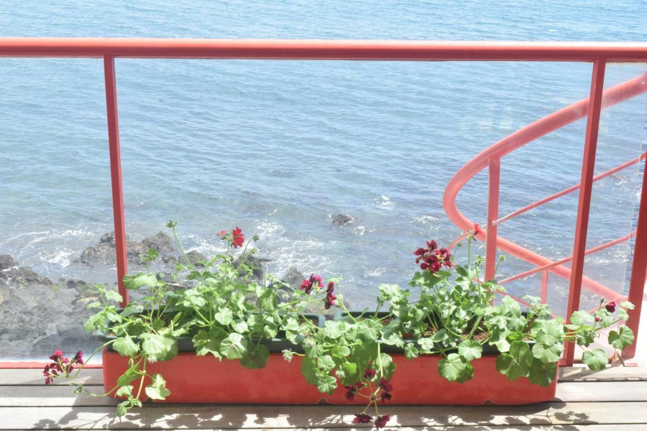 فيلا Sea house São Roque المظهر الخارجي الصورة